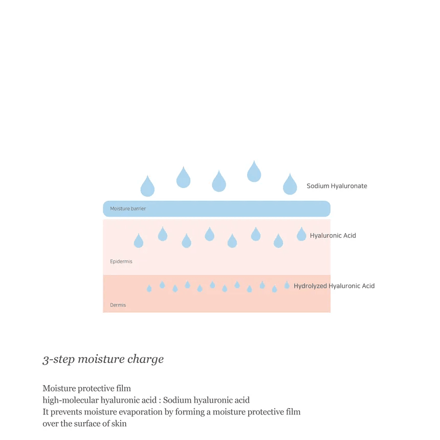 Dynasty Cream - Crème hydratante - Beauty of Joseon - Beauty Care